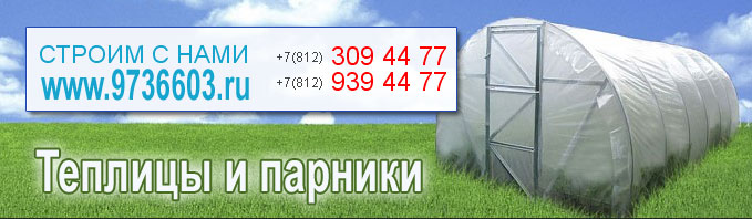 Теплица из профильной трубы Теплица из профильной трубы