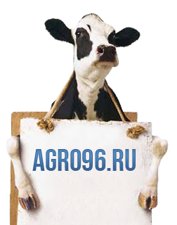 Как найти профессиональное сельскохозяйственное оборудование?